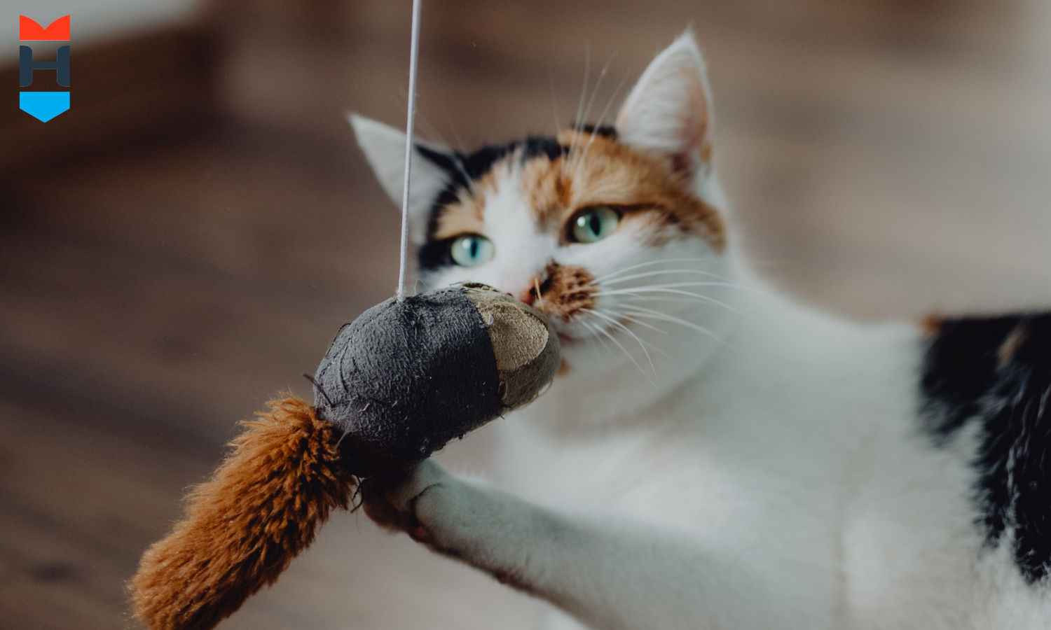 Eine Katze spielt mit einer Spielzeugmaus an einer Schnurr.