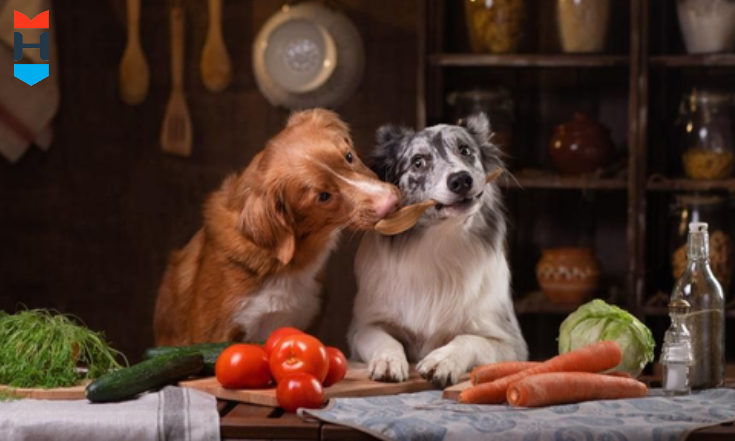 Zwei Hunde essen Gemüse.