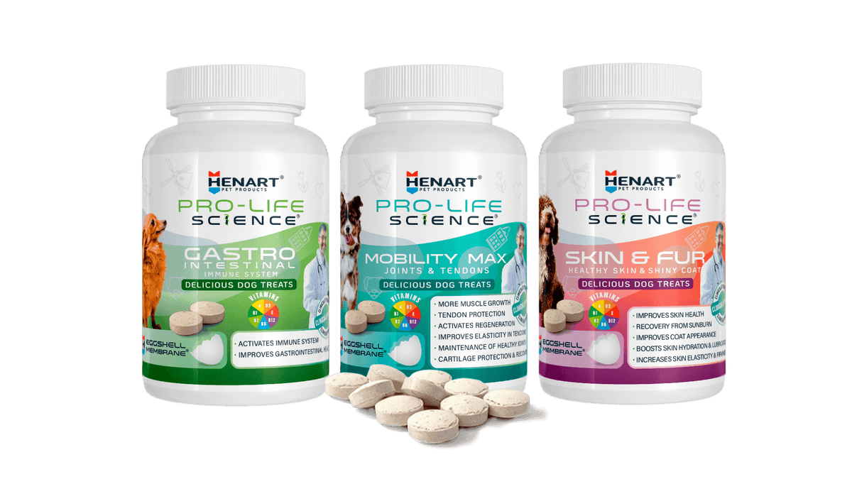 Supplements for Dogs
