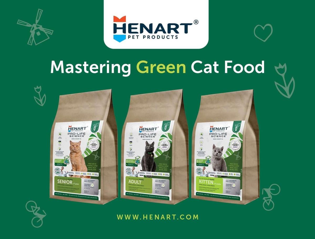 Dry Cat Food