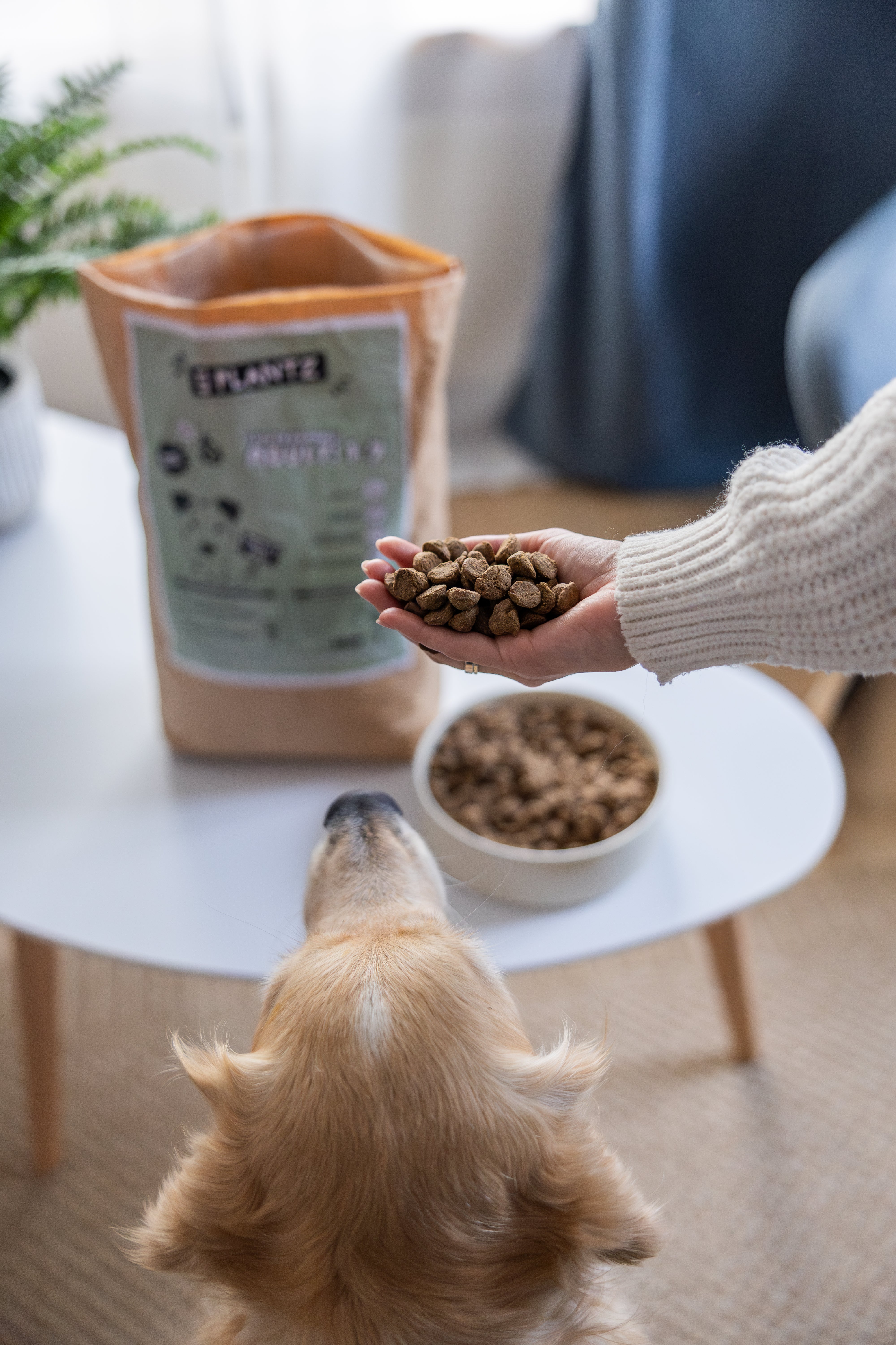 Plant-based dry food with yucca extract | Junior & Adult