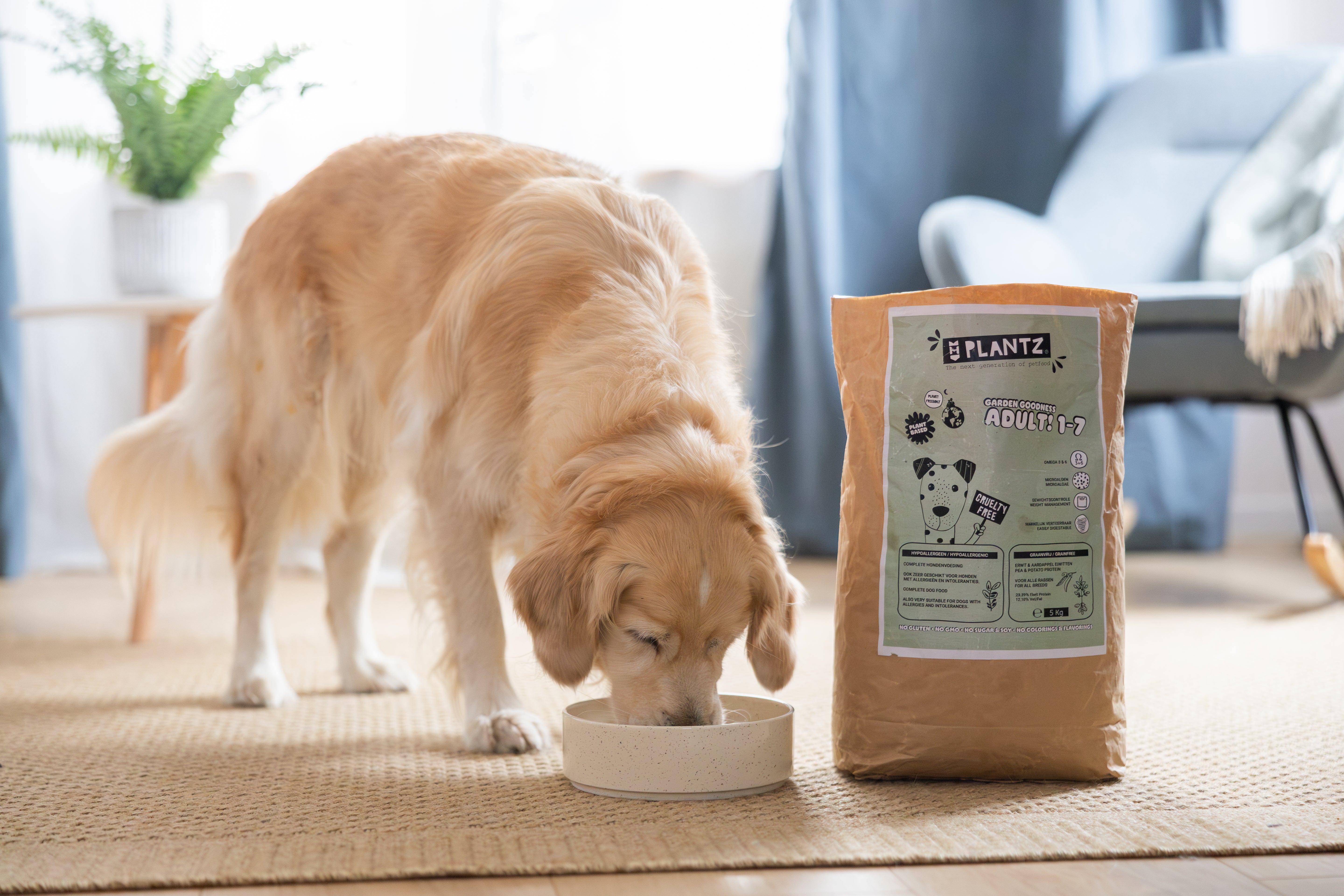 Plant-based dry food with yucca extract | Junior & Adult