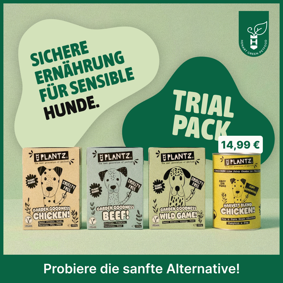 Wet food trial bundle