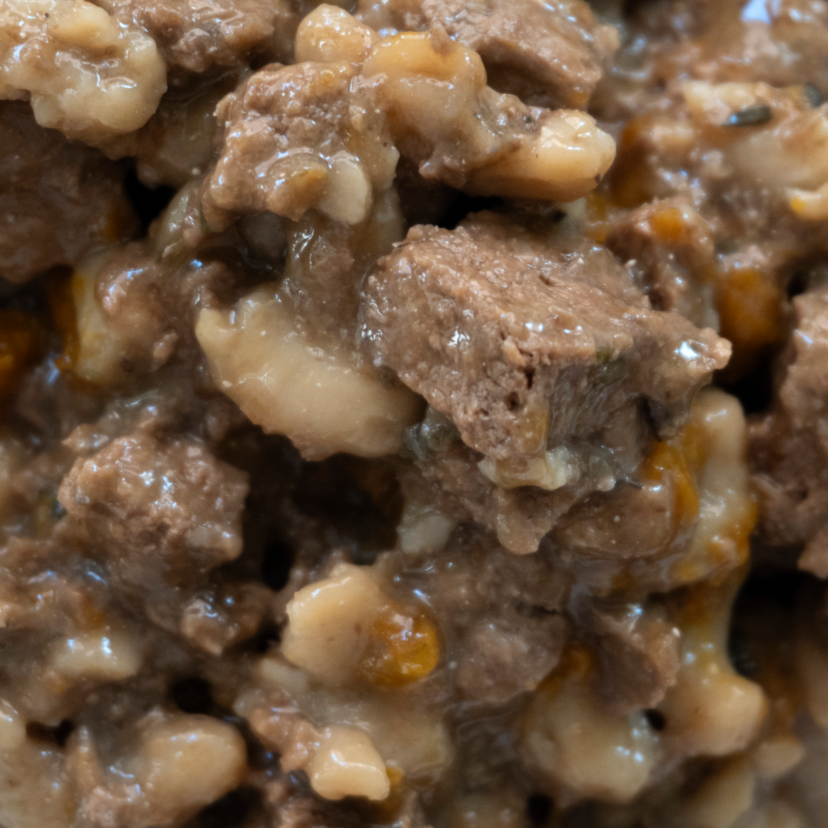 PLANTZ Try Me Bundle (Dry Food & Cans)