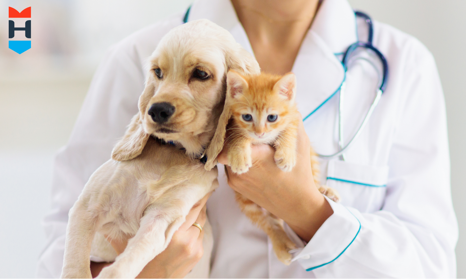 Ein Tierarzt hält Hund und Katze im Arm.