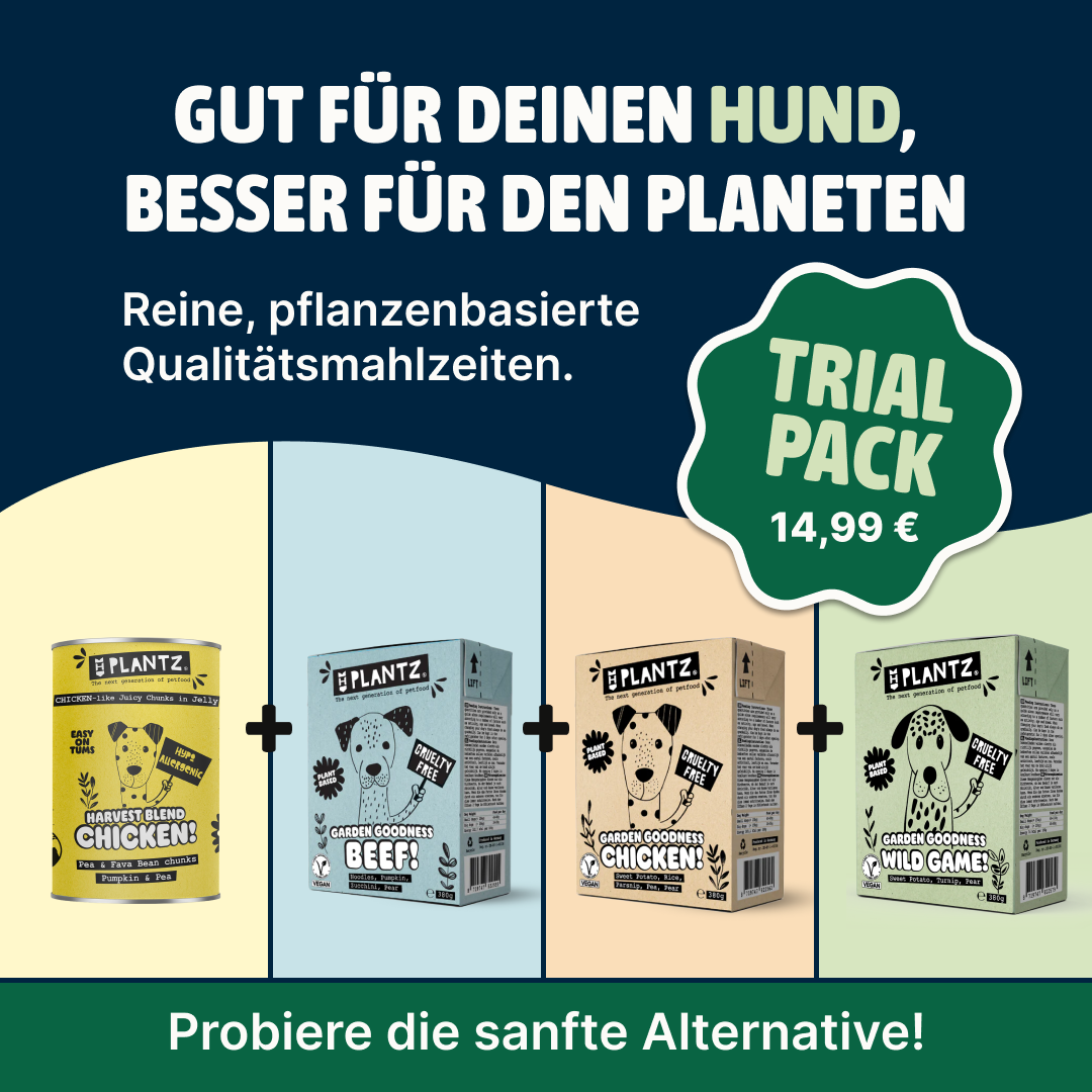 Wet food trial bundle