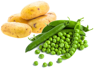 Pea & Potato proteins