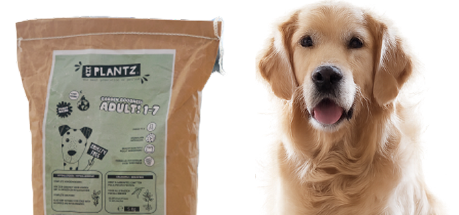 Dog food – insect dry food Why HenArt Dry Food for Your Dog?