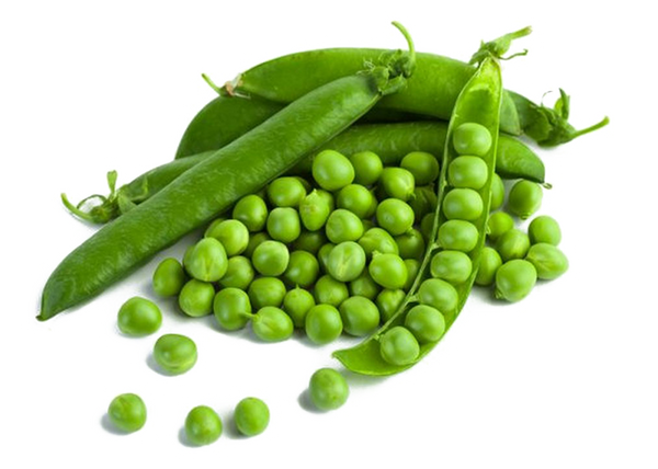 Pea Protein