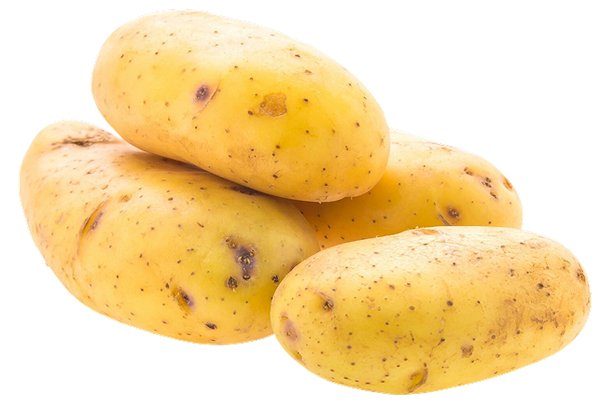 Potato Protein