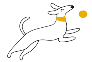 Decorative Pet Element