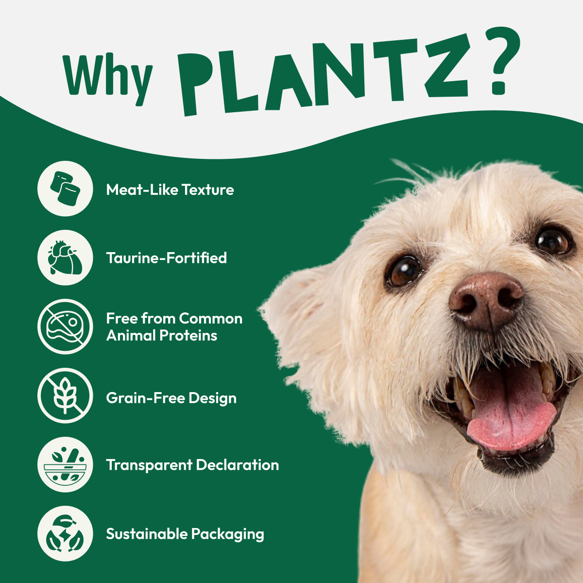 PLANTZ Kip – natvoer voor honden