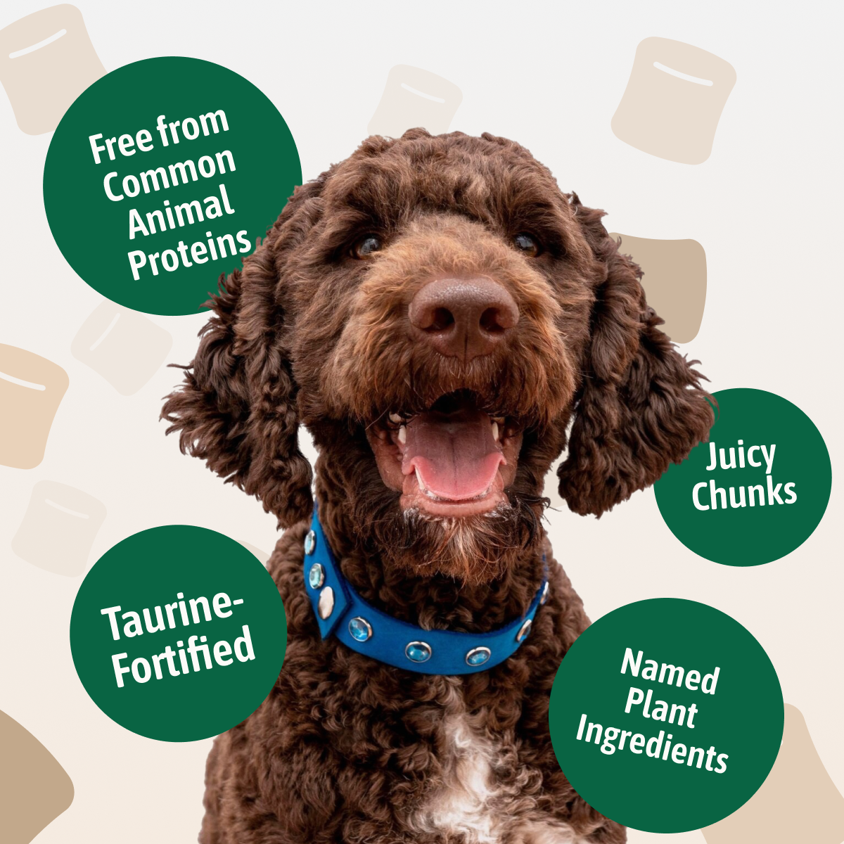 PLANTZ Wild – natvoer voor honden