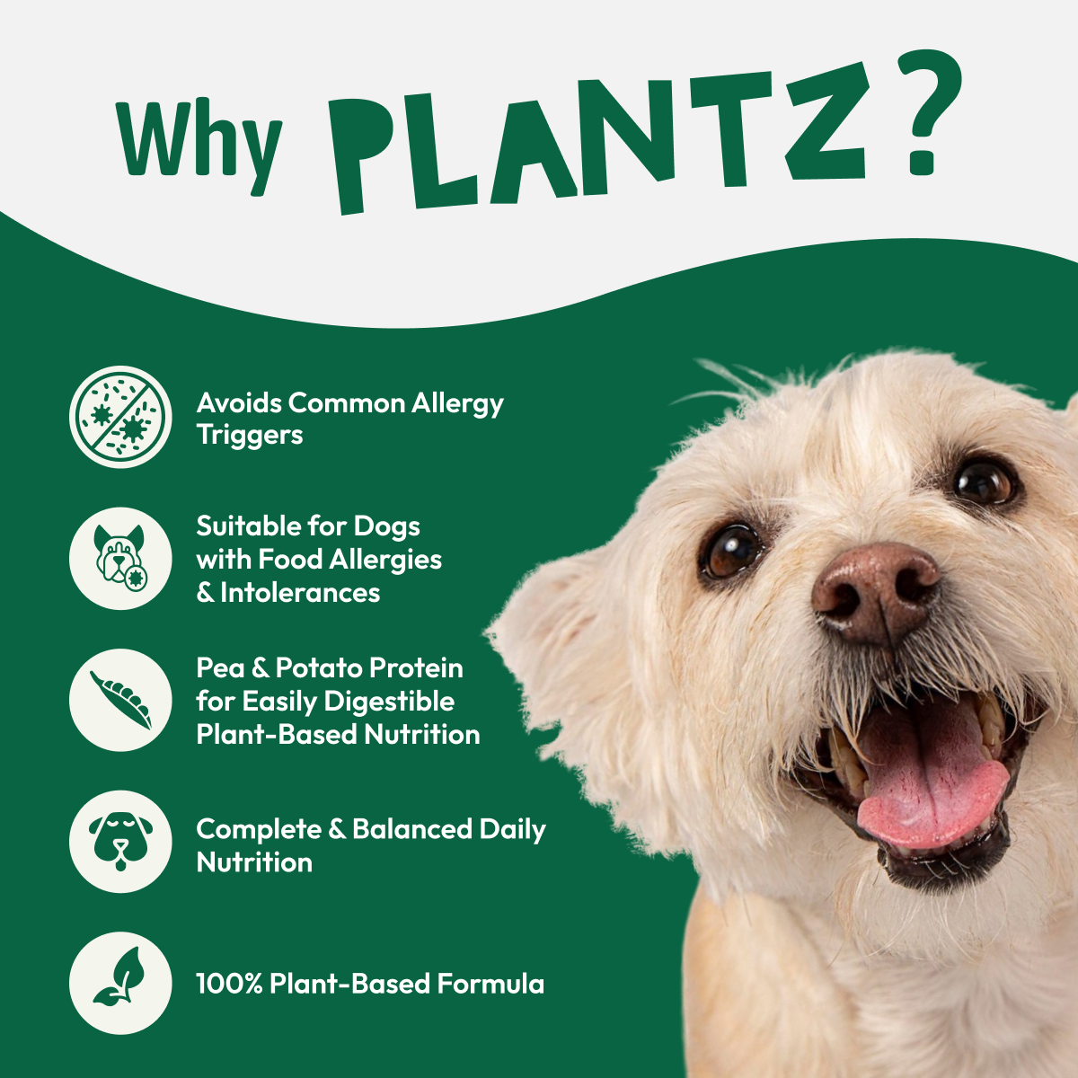 PLANTZ - Droogvoer op plantenbasis | Junior & Adult