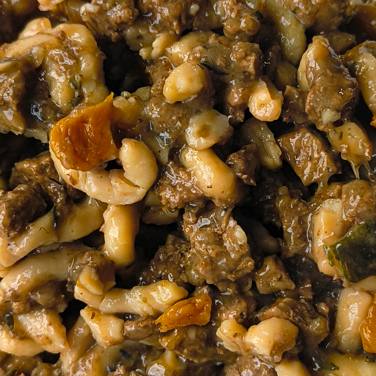 PLANTZ Beef – natvoer voor honden