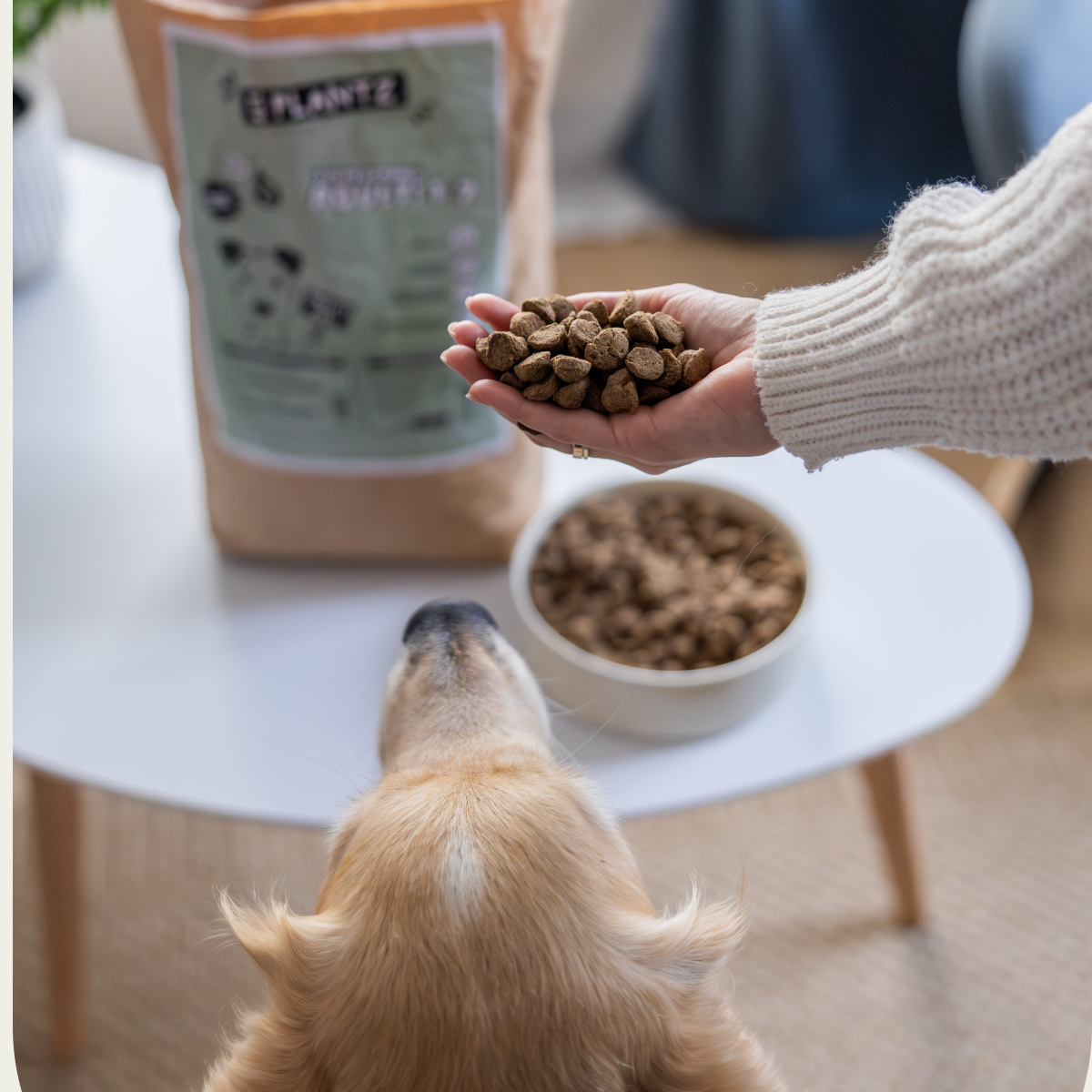 Plant-based dry food with yucca extract | Junior & Adult