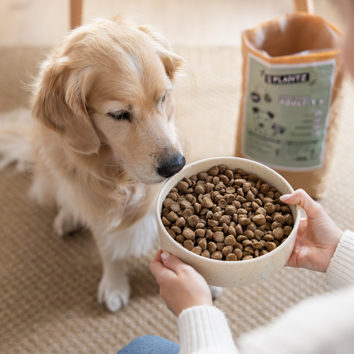 PLANTZ Try Me Bundle (Dry Food & Cans)