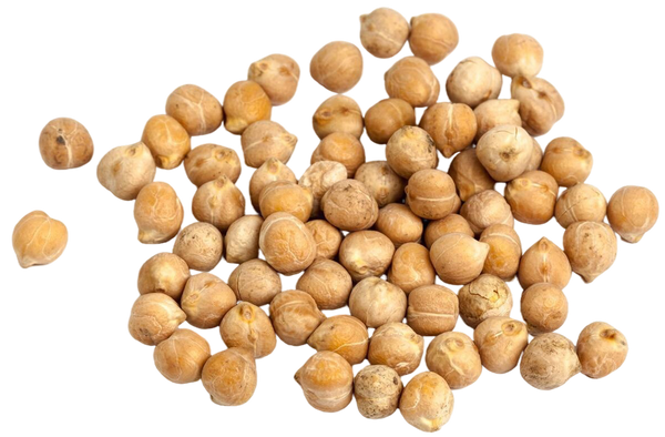 Soy Protein