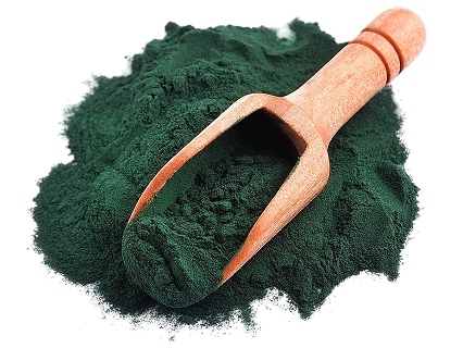 Chlorella-Algen (0,5 %) & Meeresalgenpulver