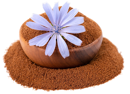 Zichorienpulver (Inulin)